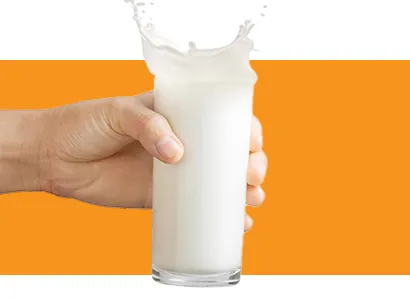 Milk